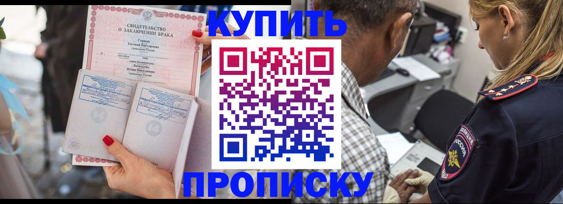 прописка законно в Щёкино